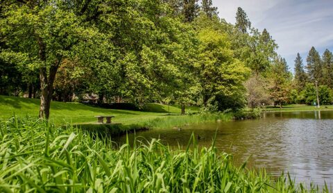 Memorial Benches - Spokane Parks Foundation